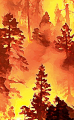 Fires.png